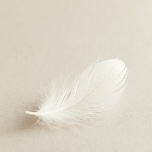 A single white feather resting gently on a soft surface — symbolizing peace, spiritual transition, and the gentle nature of the soul’s journey beyond death.