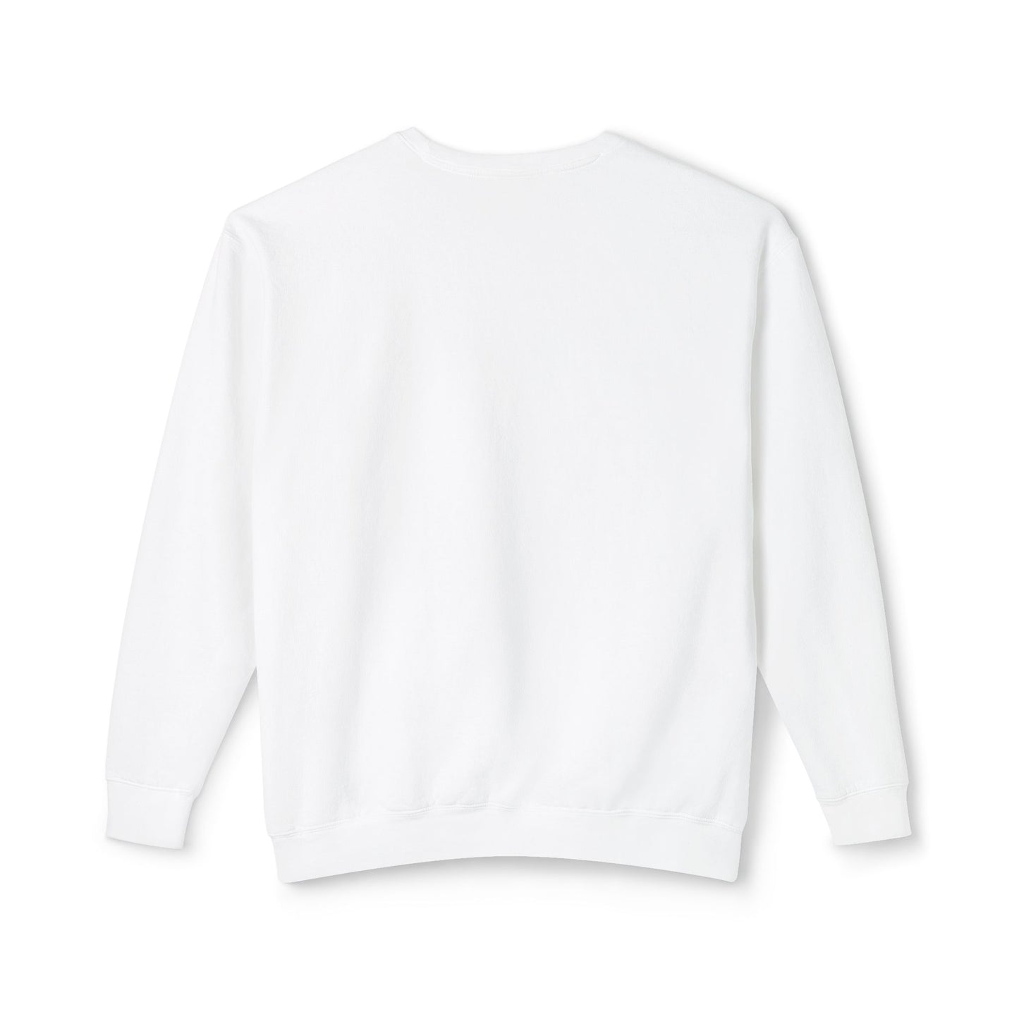 back of white South Padre Island, TX Dolphin Sweatshirt – Unisex Lightweight Crewneck