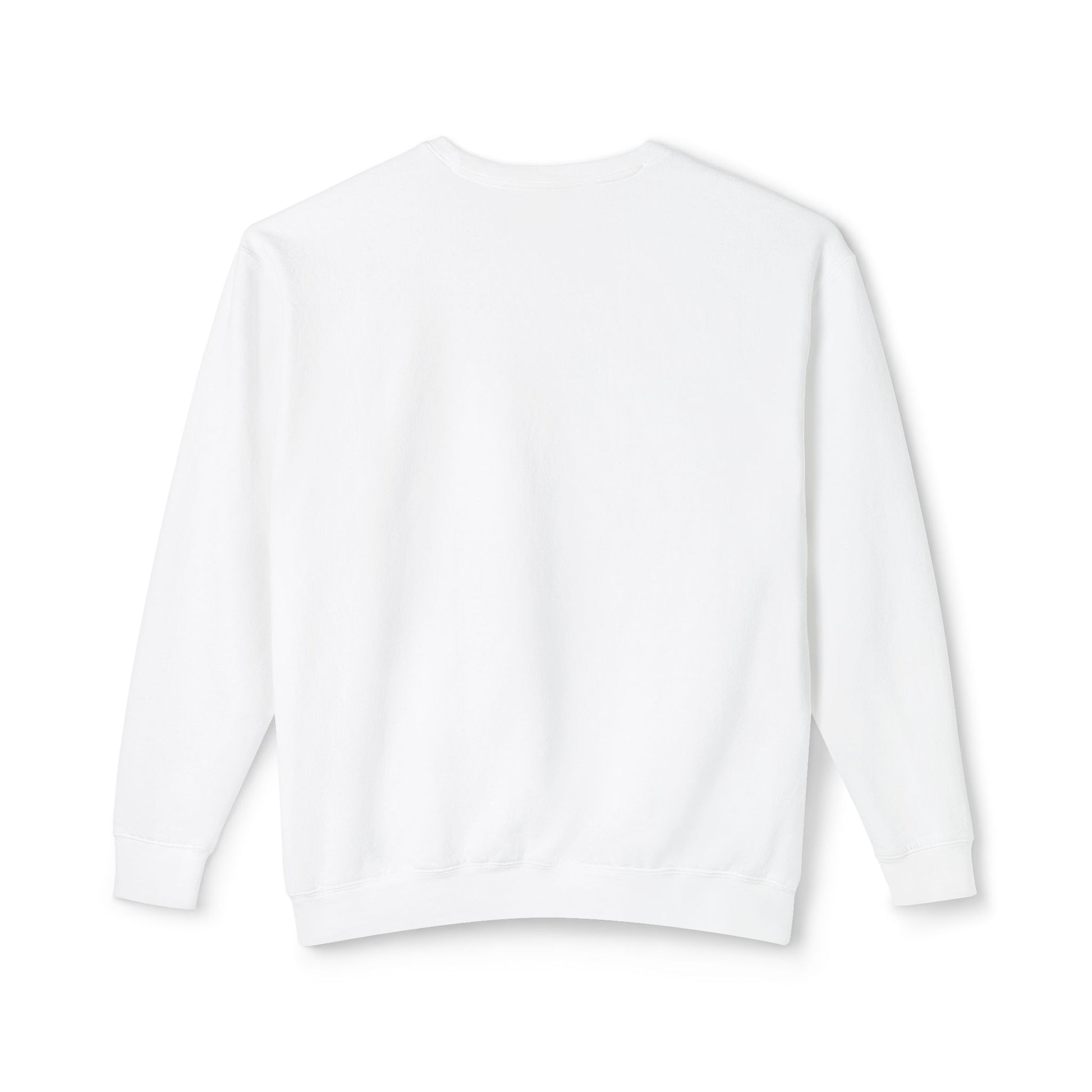 back of white South Padre Island, TX Dolphin Sweatshirt – Unisex Lightweight Crewneck